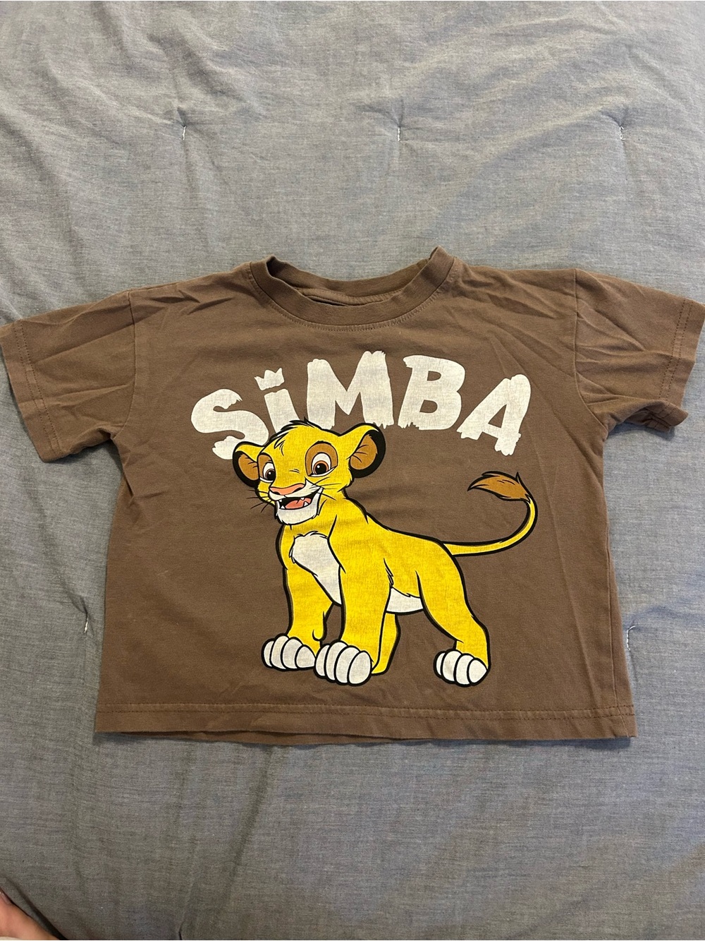 Simba Brown Kids T-Shirt with Graphic